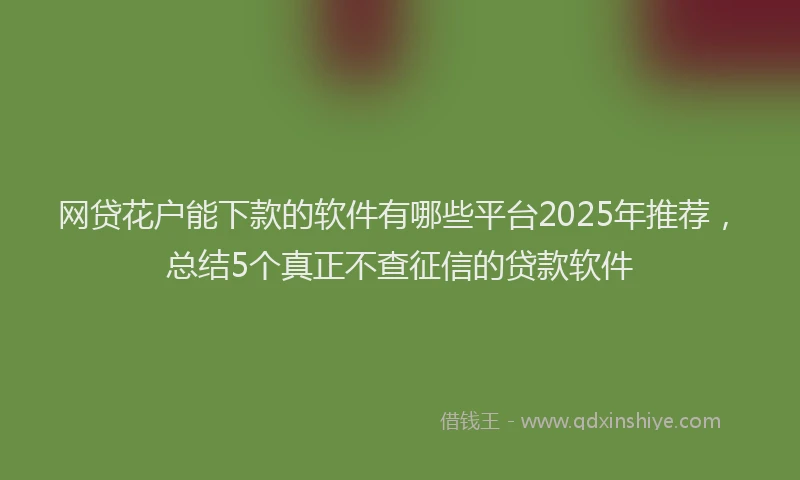 网贷花户能下款的软件有哪些平台2025年推荐，总结5个真正不查征信的贷款软件