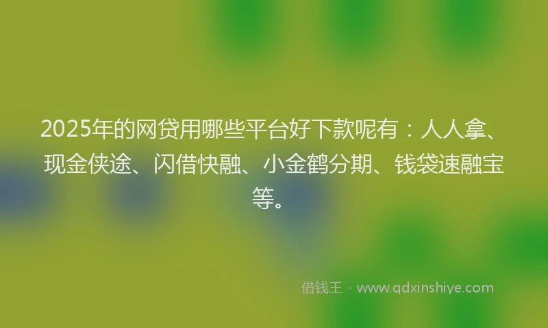 2025年的网贷用哪些平台好下款呢有：人人拿、现金侠途、闪借快融、小金鹤分期、钱袋速融宝等。