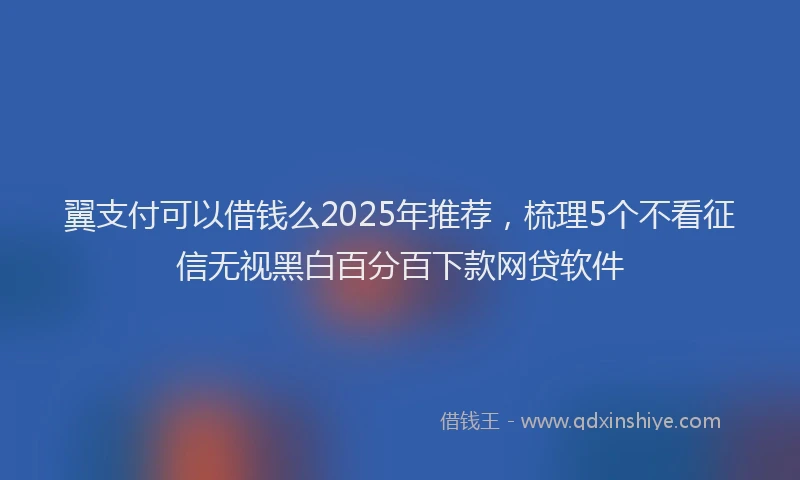 翼支付可以借钱么2025年推荐，梳理5个不看征信无视黑白百分百下款网贷软件