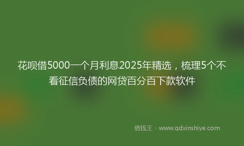 花呗借5000一个月利息2025年精选，梳理5个不看征信负债的网贷百分百下款软件