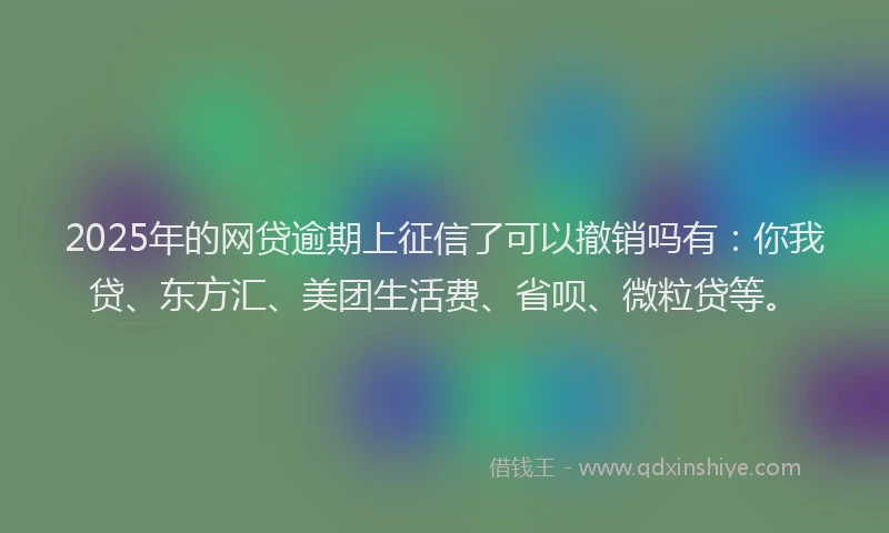 2025年的网贷逾期上征信了可以撤销吗有:你我贷、东方汇、美团生活费、省呗、微粒贷等。