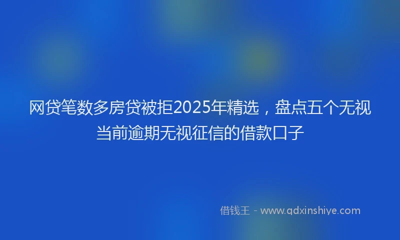网贷笔数多房贷被拒2025年精选，盘点五个无视当前逾期无视征信的借款口子
