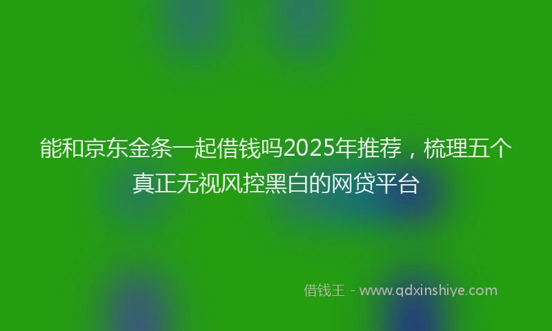 能和京东金条一起借钱吗2025年推荐，梳理五个真正无视风控黑白的网贷平台