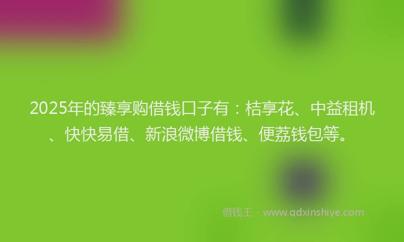 2025年的臻享购借钱口子有：桔享花、中益租机、快快易借、新浪微博借钱、便荔钱包等。