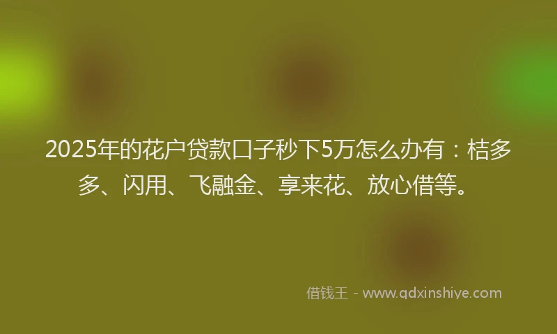 2025年的花户贷款口子秒下5万怎么办有：桔多多、闪用、飞融金、享来花、放心借等。
