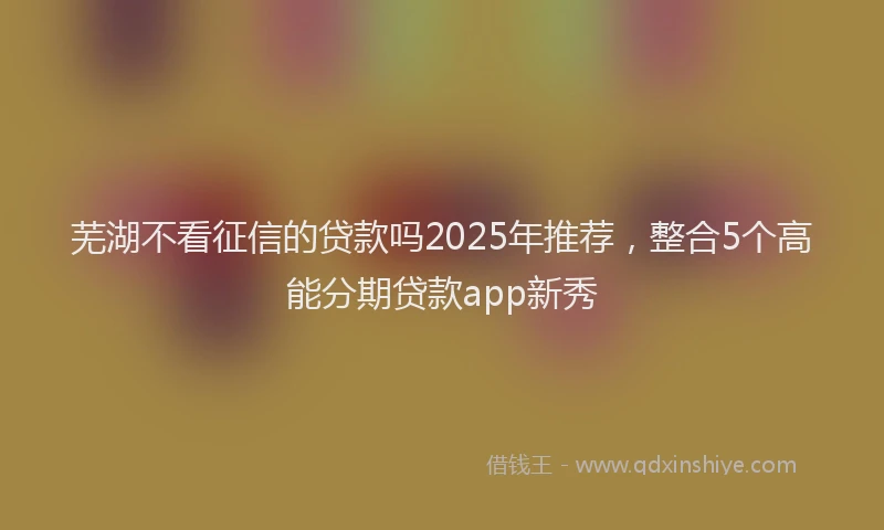 芜湖不看征信的贷款吗2025年推荐，整合5个高能分期贷款app新秀