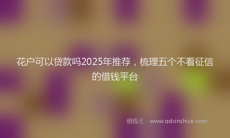 花户可以贷款吗2025年推荐，梳理五个不看征信的借钱平台
