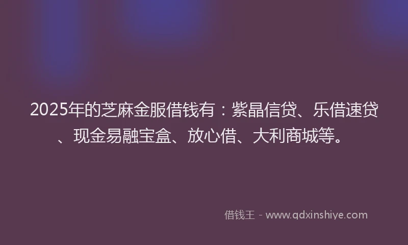 2025年的芝麻金服借钱有：紫晶信贷、乐借速贷、现金易融宝盒、放心借、大利商城等。