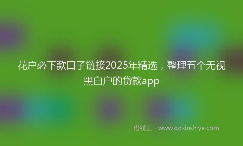 花户必下款口子链接2025年精选，整理五个无视黑白户的贷款app