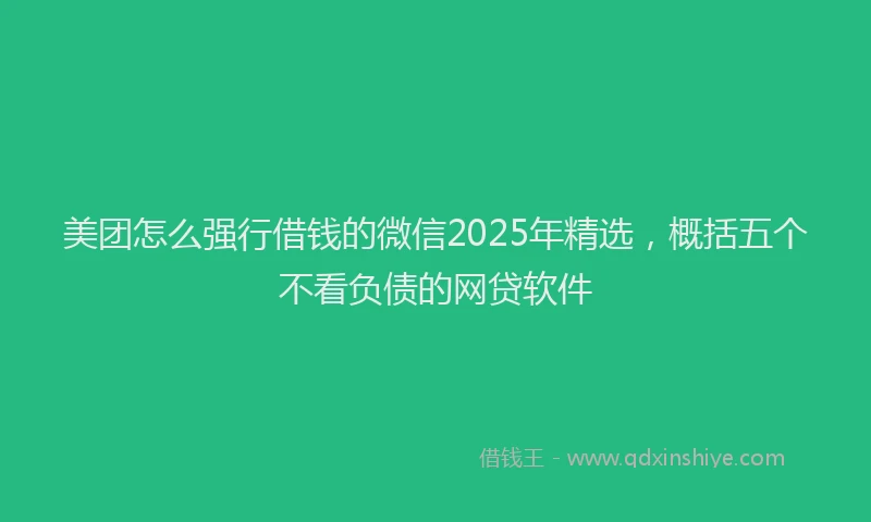 美团怎么强行借钱的微信2025年精选，概括五个不看负债的网贷软件
