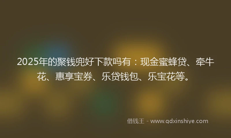2025年的聚钱兜好下款吗有：现金蜜蜂贷、牵牛花、惠享宝券、乐贷钱包、乐宝花等。