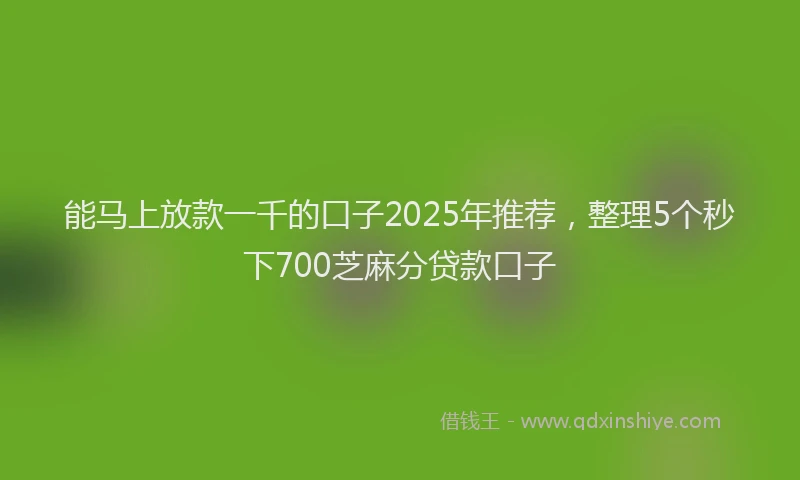 能马上放款一千的口子2025年推荐，整理5个秒下700芝麻分贷款口子