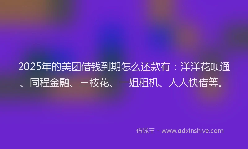 2025年的美团借钱到期怎么还款有：洋洋花呗通、同程金融、三枝花、一姐租机、人人快借等。