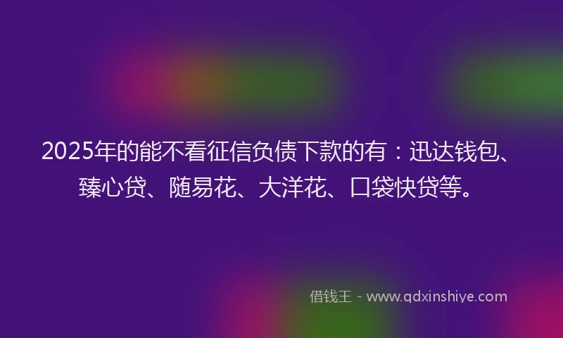 2025年的能不看征信负债下款的有：迅达钱包、臻心贷、随易花、大洋花、口袋快贷等。