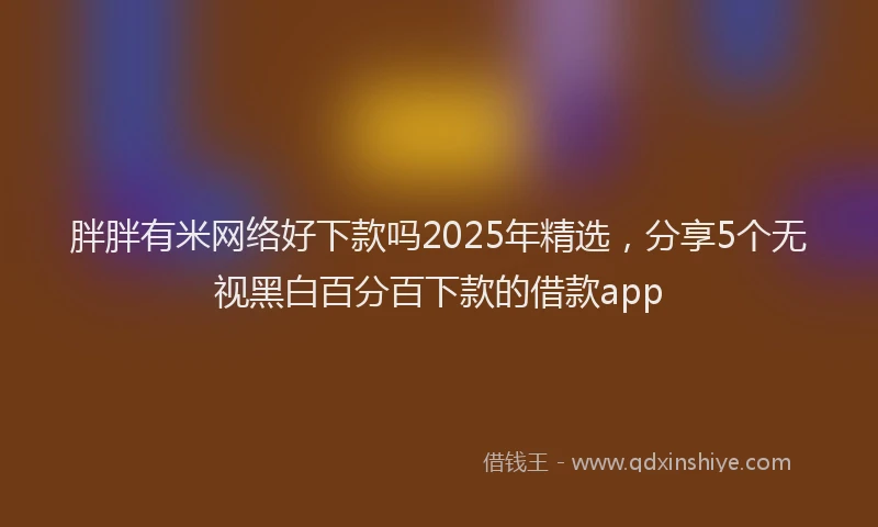 胖胖有米网络好下款吗2025年精选，分享5个无视黑白百分百下款的借款app