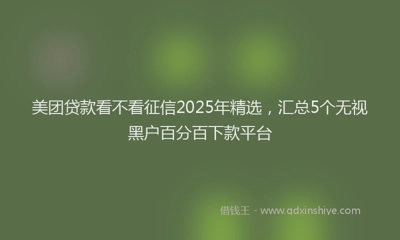 美团贷款看不看征信2025年精选，汇总5个无视黑户百分百下款平台