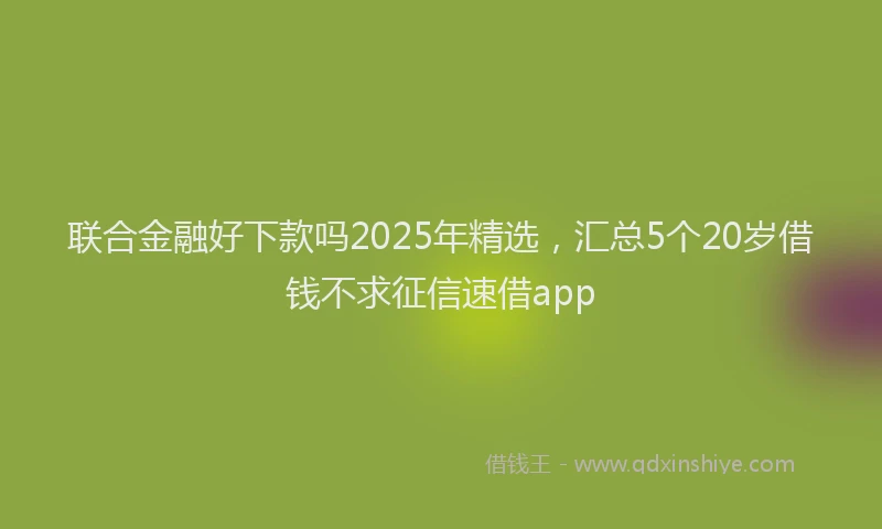联合金融好下款吗2025年精选，汇总5个20岁借钱不求征信速借app