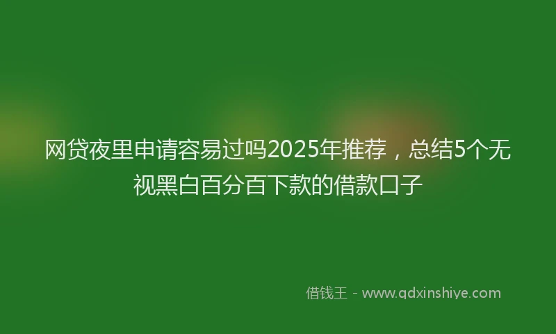 网贷夜里申请容易过吗2025年推荐，总结5个无视黑白百分百下款的借款口子
