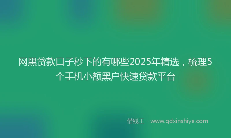 网黑贷款口子秒下的有哪些2025年精选，梳理5个手机小额黑户快速贷款平台