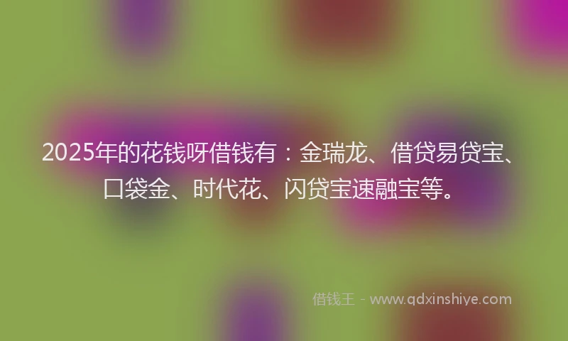 2025年的花钱呀借钱有：金瑞龙、借贷易贷宝、口袋金、时代花、闪贷宝速融宝等。
