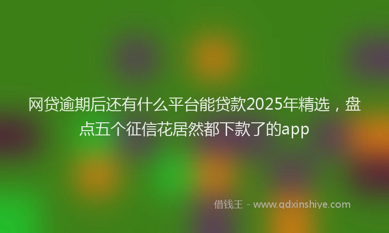 网贷逾期后还有什么平台能贷款2025年精选，盘点五个征信花居然都下款了的app