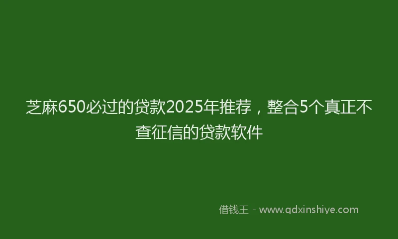芝麻650必过的贷款2025年推荐，整合5个真正不查征信的贷款软件