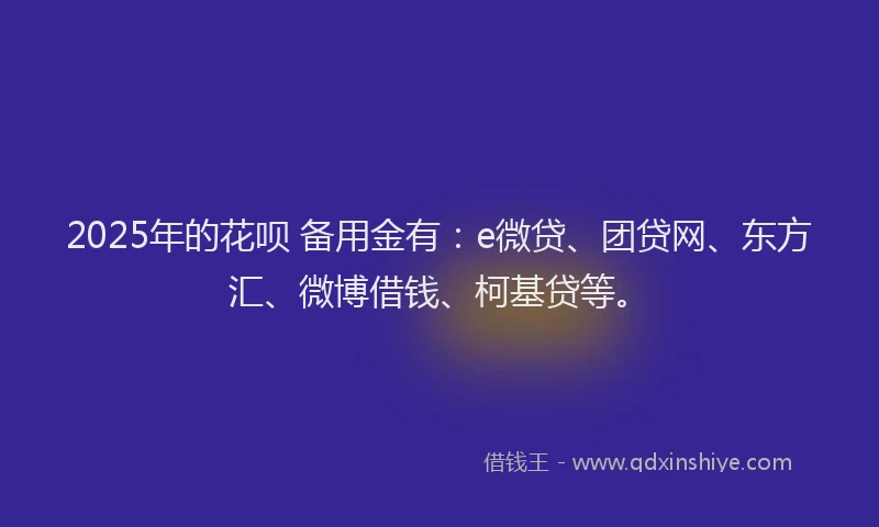 2025年的花呗 备用金有：e微贷、团贷网、东方汇、微博借钱、柯基贷等。