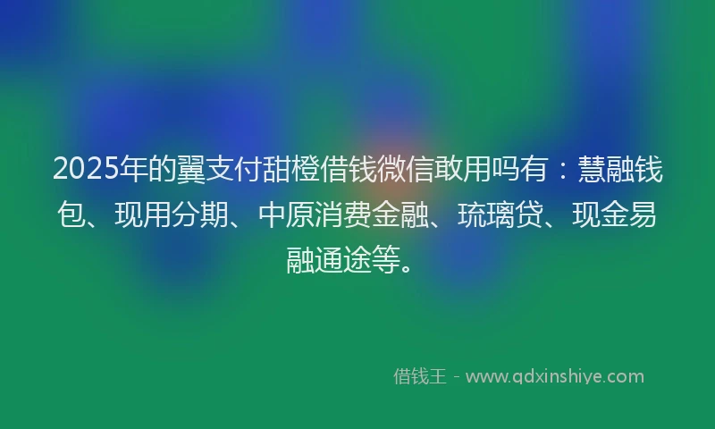 2025年的翼支付甜橙借钱微信敢用吗有：慧融钱包、现用分期、中原消费金融、琉璃贷、现金易融通途等。