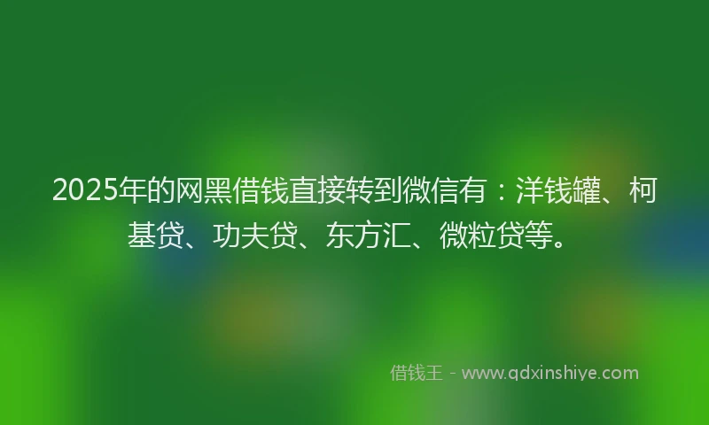 2025年的网黑借钱直接转到微信有：洋钱罐、柯基贷、功夫贷、东方汇、微粒贷等。