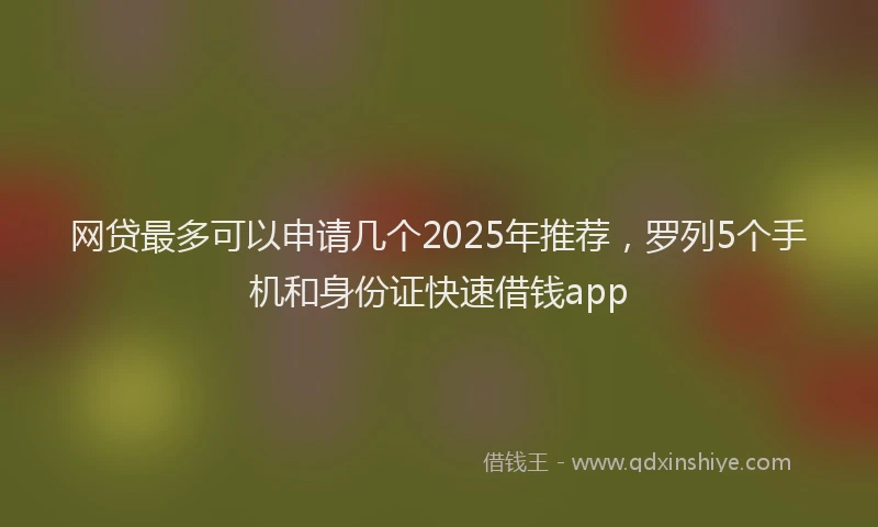 网贷最多可以申请几个2025年推荐，罗列5个手机和身份证快速借钱app
