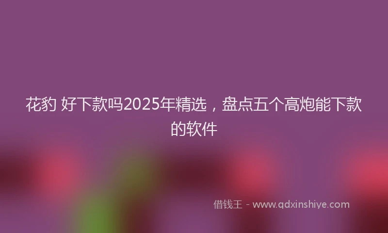 花豹 好下款吗2025年精选，盘点五个高炮能下款的软件