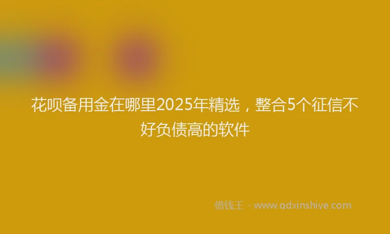 花呗备用金在哪里2025年精选，整合5个征信不好负债高的软件