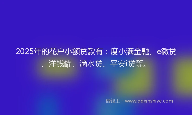 2025年的花户小额贷款有：度小满金融、e微贷、洋钱罐、滴水贷、平安i贷等。