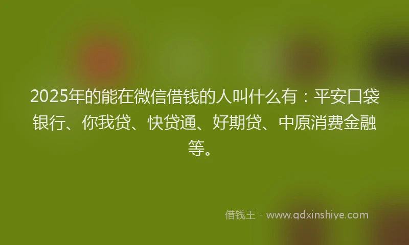 2025年的能在微信借钱的人叫什么有：平安口袋银行、你我贷、快贷通、好期贷、中原消费金融等。