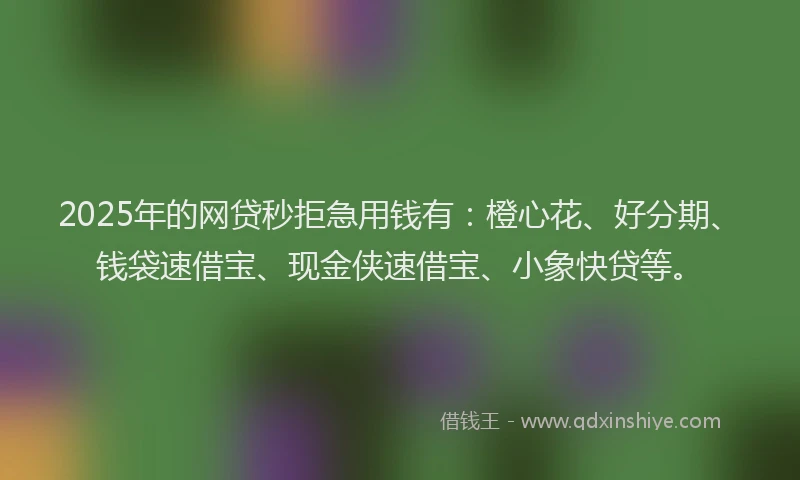 2025年的网贷秒拒急用钱有：橙心花、好分期、钱袋速借宝、现金侠速借宝、小象快贷等。