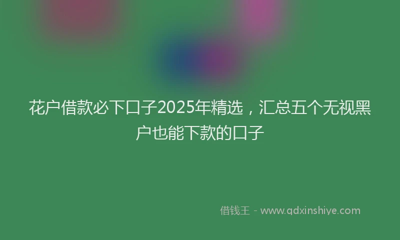 花户借款必下口子2025年精选，汇总五个无视黑户也能下款的口子