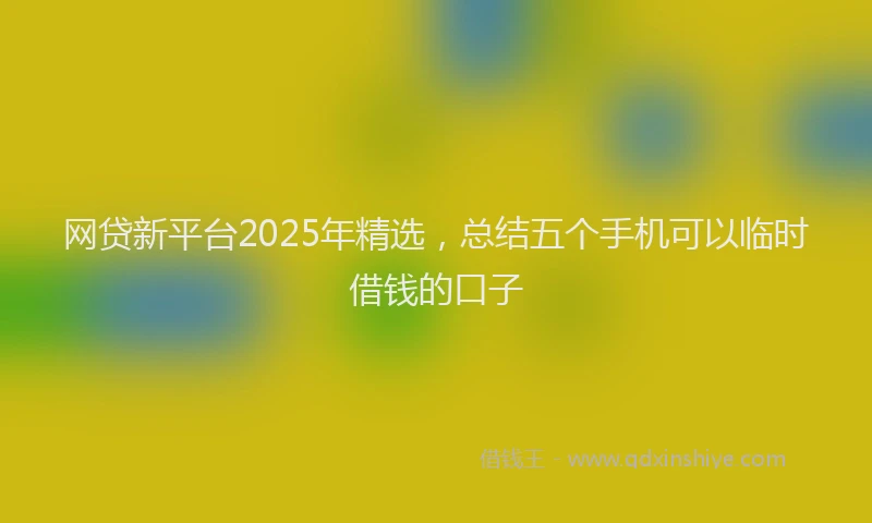 网贷新平台2025年精选，总结五个手机可以临时借钱的口子