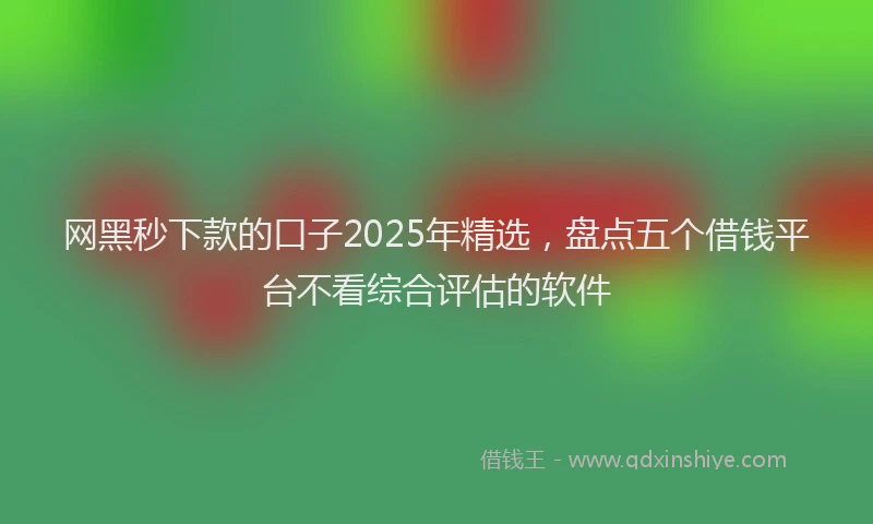 网黑秒下款的口子2025年精选，盘点五个借钱平台不看综合评估的软件