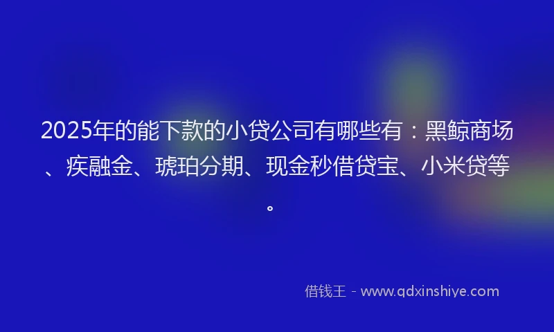 2025年的能下款的小贷公司有哪些有：黑鲸商场、疾融金、琥珀分期、现金秒借贷宝、小米贷等。