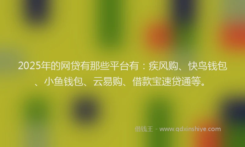 2025年的网贷有那些平台有：疾风购、快鸟钱包、小鱼钱包、云易购、借款宝速贷通等。