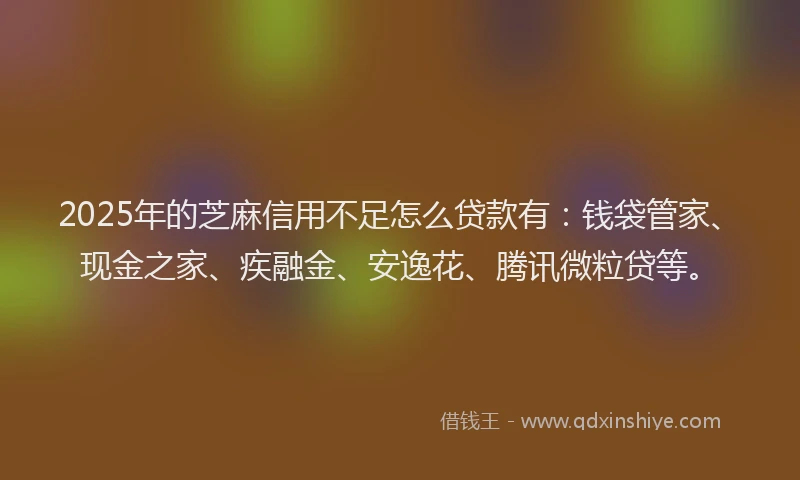 2025年的芝麻信用不足怎么贷款有：钱袋管家、现金之家、疾融金、安逸花、腾讯微粒贷等。