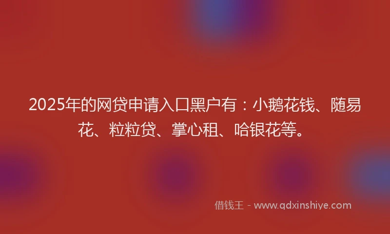 2025年的网贷申请入口黑户有：小鹅花钱、随易花、粒粒贷、掌心租、哈银花等。