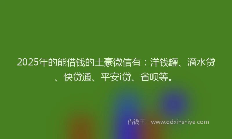2025年的能借钱的土豪微信有：洋钱罐、滴水贷、快贷通、平安i贷、省呗等。