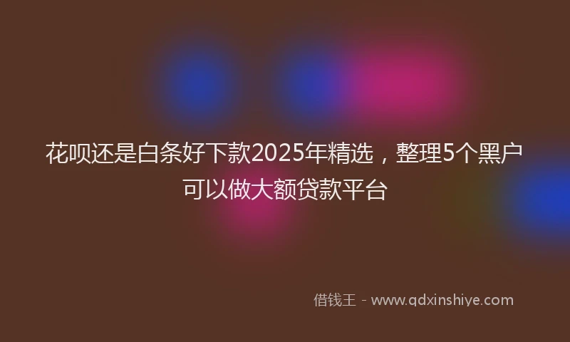花呗还是白条好下款2025年精选，整理5个黑户可以做大额贷款平台