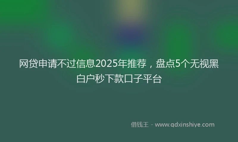 网贷申请不过信息2025年推荐，盘点5个无视黑白户秒下款口子平台