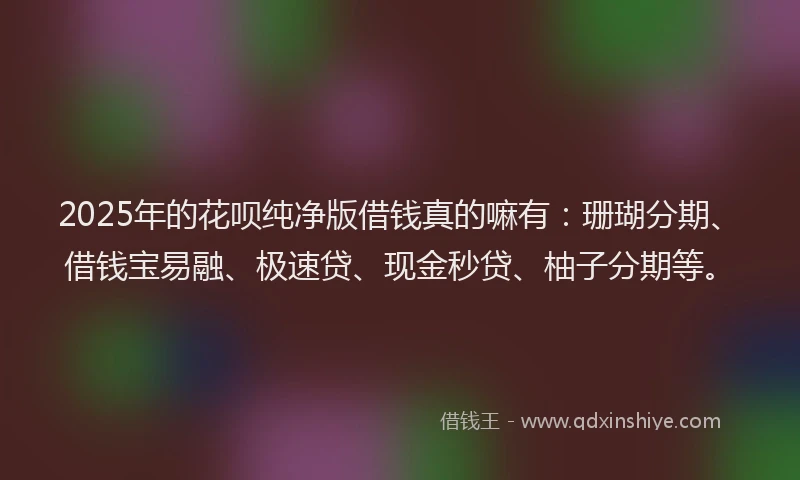 2025年的花呗纯净版借钱真的嘛有：珊瑚分期、借钱宝易融、极速贷、现金秒贷、柚子分期等。