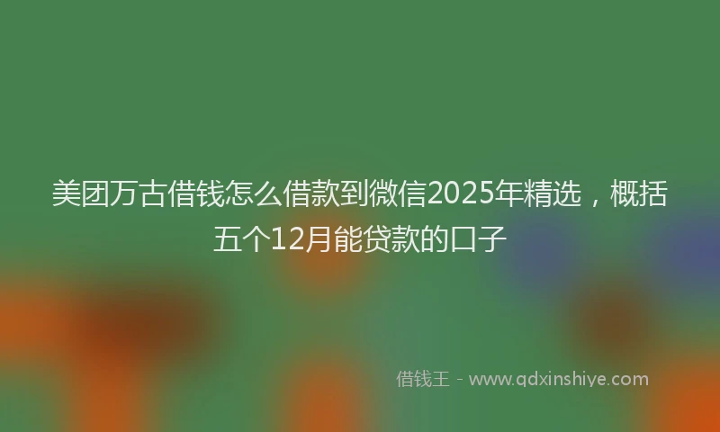 美团万古借钱怎么借款到微信2025年精选，概括五个12月能贷款的口子