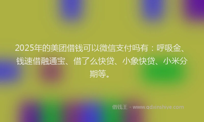 2025年的美团借钱可以微信支付吗有：呼吸金、钱速借融通宝、借了么快贷、小象快贷、小米分期等。