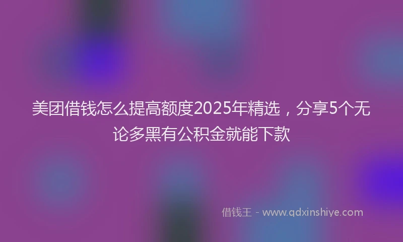 美团借钱怎么提高额度2025年精选，分享5个无论多黑有公积金就能下款