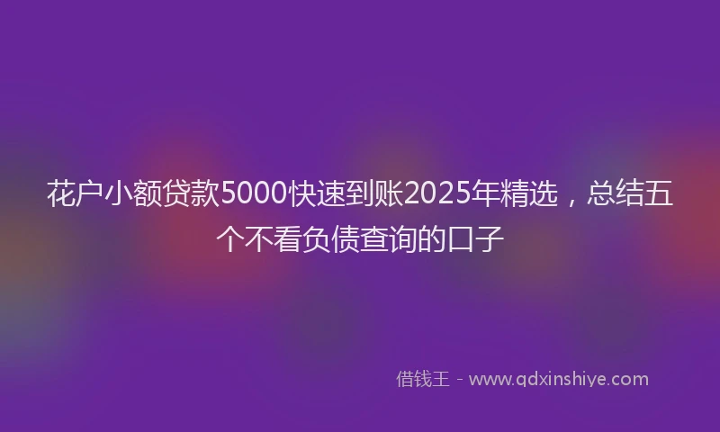 花户小额贷款5000快速到账2025年精选，总结五个不看负债查询的口子